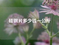 硅钢片多少钱一公斤