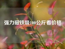 强力磁铁吸100公斤看价格