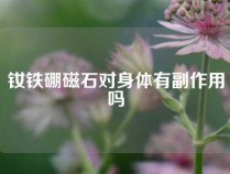 钕铁硼磁石对身体有副作用吗