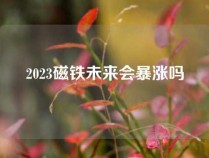 2023磁铁未来会暴涨吗