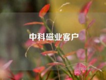 中科磁业客户