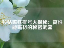 钐钴磁铁排号大揭秘：高性能磁材的秘密武器