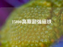 15000高斯超强磁铁