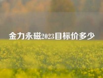 金力永磁2023目标价多少