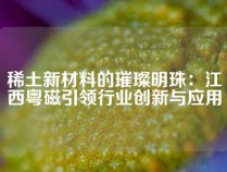 稀土新材料的璀璨明珠：江西粤磁引领行业创新与应用