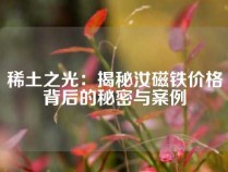 稀土之光：揭秘汝磁铁价格背后的秘密与案例