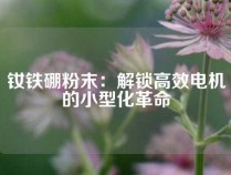 钕铁硼粉末：解锁高效电机的小型化革命