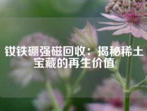 钕铁硼强磁回收：揭秘稀土宝藏的再生价值