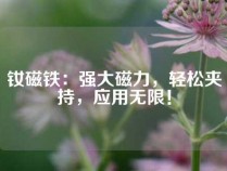 钕磁铁：强大磁力，轻松夹持，应用无限！