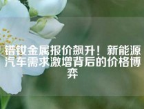 镨钕金属报价飙升！新能源汽车需求激增背后的价格博弈