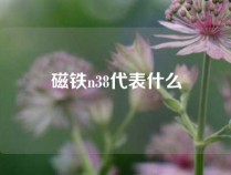 磁铁n38代表什么