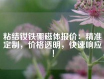 粘结钕铁硼磁体报价：精准定制，价格透明，快速响应！