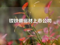 钕铁硼磁材上市公司