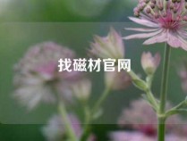 找磁材官网