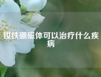 钕铁硼磁体可以治疗什么疾病