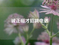 诚正磁才招聘电话