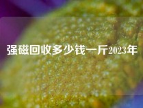 强磁回收多少钱一斤2023年