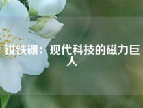 钕铁硼：现代科技的磁力巨人