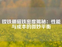 钕铁硼磁铁密度揭秘：性能与成本的微妙平衡