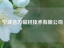 宁波合力磁材技术有限公司