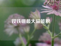 钕铁硼最大磁能积