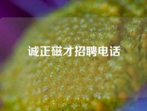 诚正磁才招聘电话