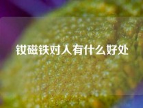 钕磁铁对人有什么好处