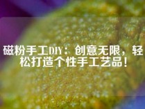 磁粉手工DIY：创意无限，轻松打造个性手工艺品！