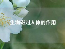 生物磁对人体的作用