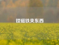 钕磁铁夹东西