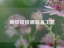 烧结钕铁硼制备工艺