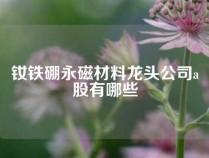 钕铁硼永磁材料龙头公司a股有哪些