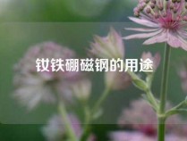 钕铁硼磁钢的用途