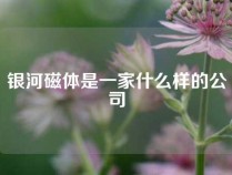 银河磁体是一家什么样的公司