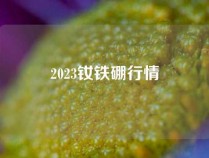 2023钕铁硼行情