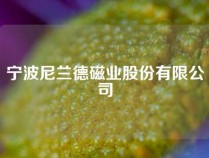 宁波尼兰德磁业股份有限公司