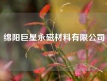 绵阳巨星永磁材料有限公司