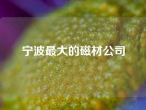 宁波最大的磁材公司