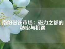 南阳磁铁市场：磁力之都的秘密与机遇