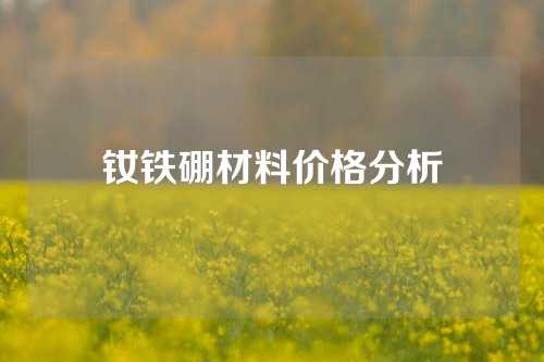 钕铁硼材料价格分析