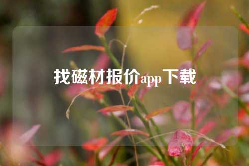 找磁材报价app下载