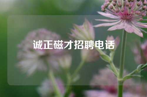 诚正磁才招聘电话