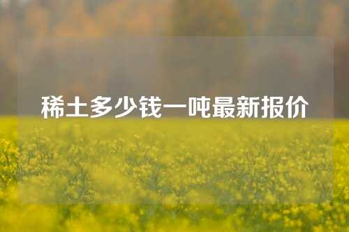 稀土多少钱一吨最新报价