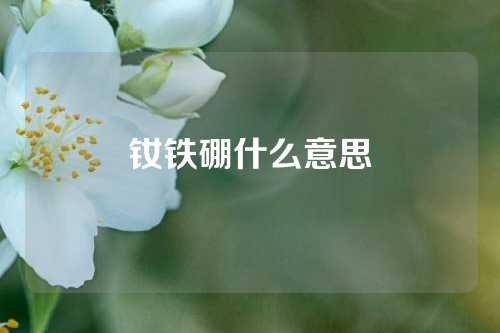 钕铁硼什么意思