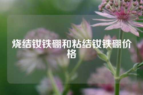 烧结钕铁硼和粘结钕铁硼价格