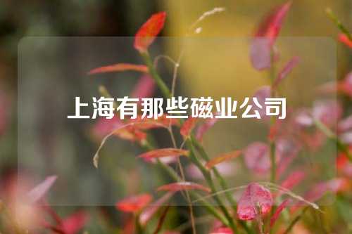 上海有那些磁业公司