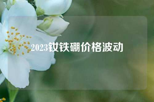 2023钕铁硼价格波动