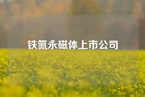 铁氮永磁体上市公司