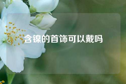 含镍的首饰可以戴吗