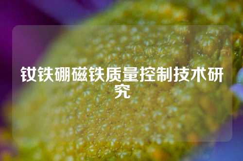 钕铁硼磁铁质量控制技术研究